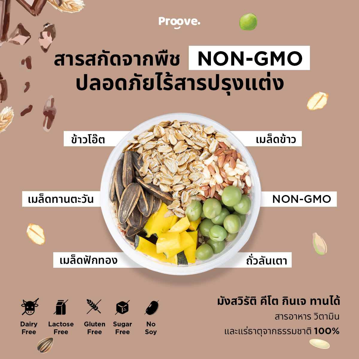 โปรตีนพืช Proove รส ช็อกโกแลตมอลต์ สูตร No Soy