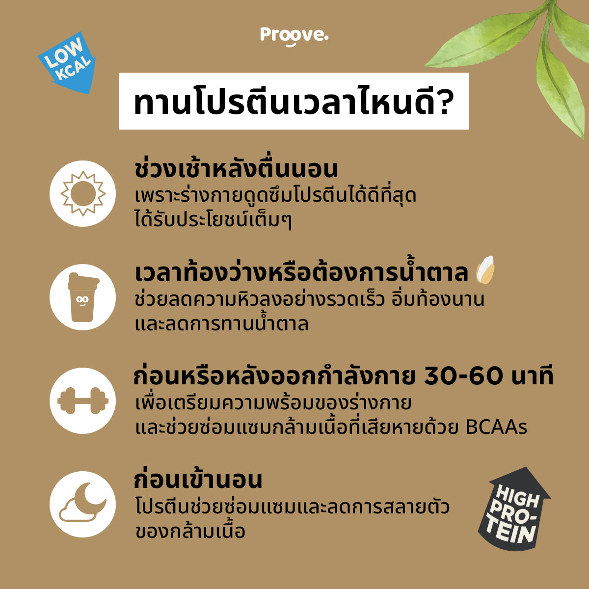 กินโปรตีนเวลาไหนดี