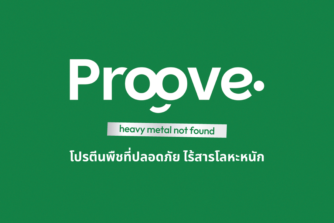 Proove โปรตีนพืชที่ปลอดภัย ไร้สารตะกั่ว ตรวจสอบได้จริง