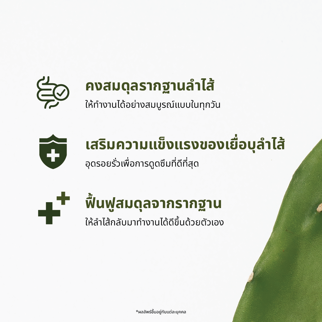 Proove Gudilia+ สารสกัดกระบองเพชร และผักผลไม้รวม 46 ชนิด