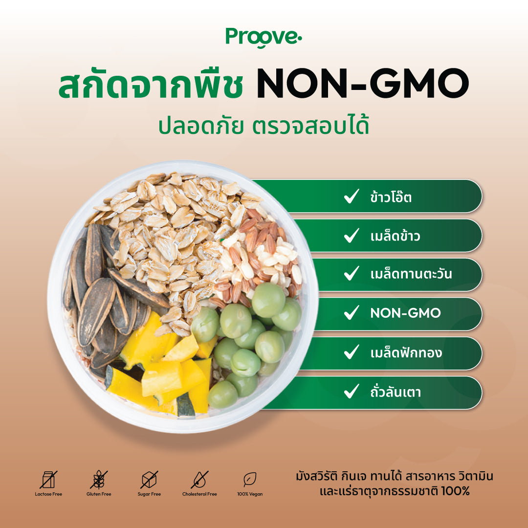 [กด2กระปุกเพื่อรับของแถม] Proove โปรตีนพืช ช่วยเผาผลาญ อร่อย ดื่มง่าย รสช็อกโกแลต มอลต์ โปรตีนสูง ไม่มีน้ำตาล แคลต่ำ