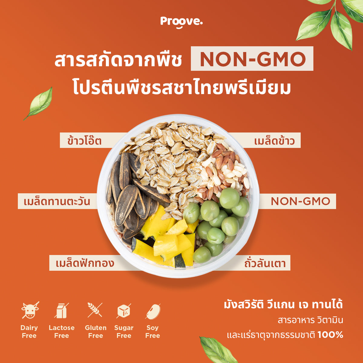 Proove โปรตีนพืช ช่วยเผาผลาญ อร่อย ดื่มง่าย รสชาไทย โปรตีนสูง ไม่มีน้ำตาล แคลต่ำ