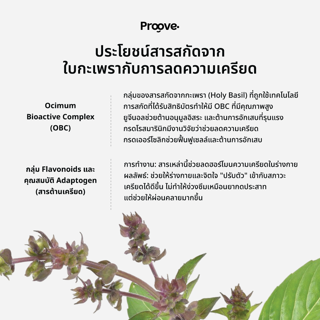 [ฟรีแก้วน้ำ] Proove MagDay+ : แมกเดย์พลัส แมกนีเซียม เพื่อการ BalanceEnergy โฟกัสดี ไม่มีอ่อม
