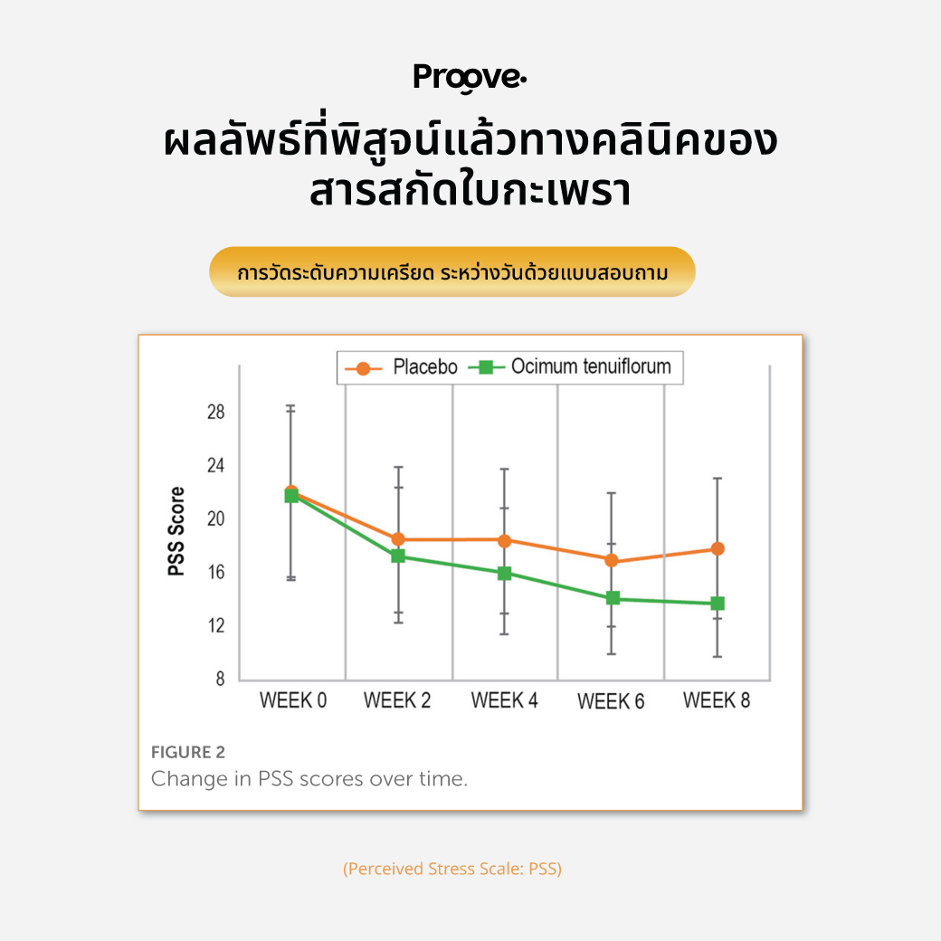 [ฟรีแก้วน้ำ] Proove MagDay+ : แมกเดย์พลัส แมกนีเซียม เพื่อการ BalanceEnergy โฟกัสดี ไม่มีอ่อม